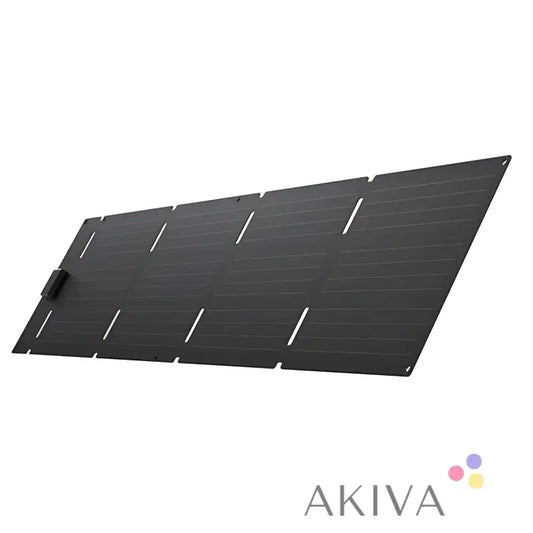 Black ECOFLOW 60W solar panel featuring multiple arranged photovoltaic cells